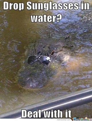 Illustration for article titled Claude the Alligator Is the Only Reason to Use Facebook